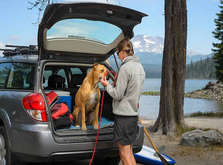 Ruffwear Just-a-Cinch Slip Leash getting put on a dog