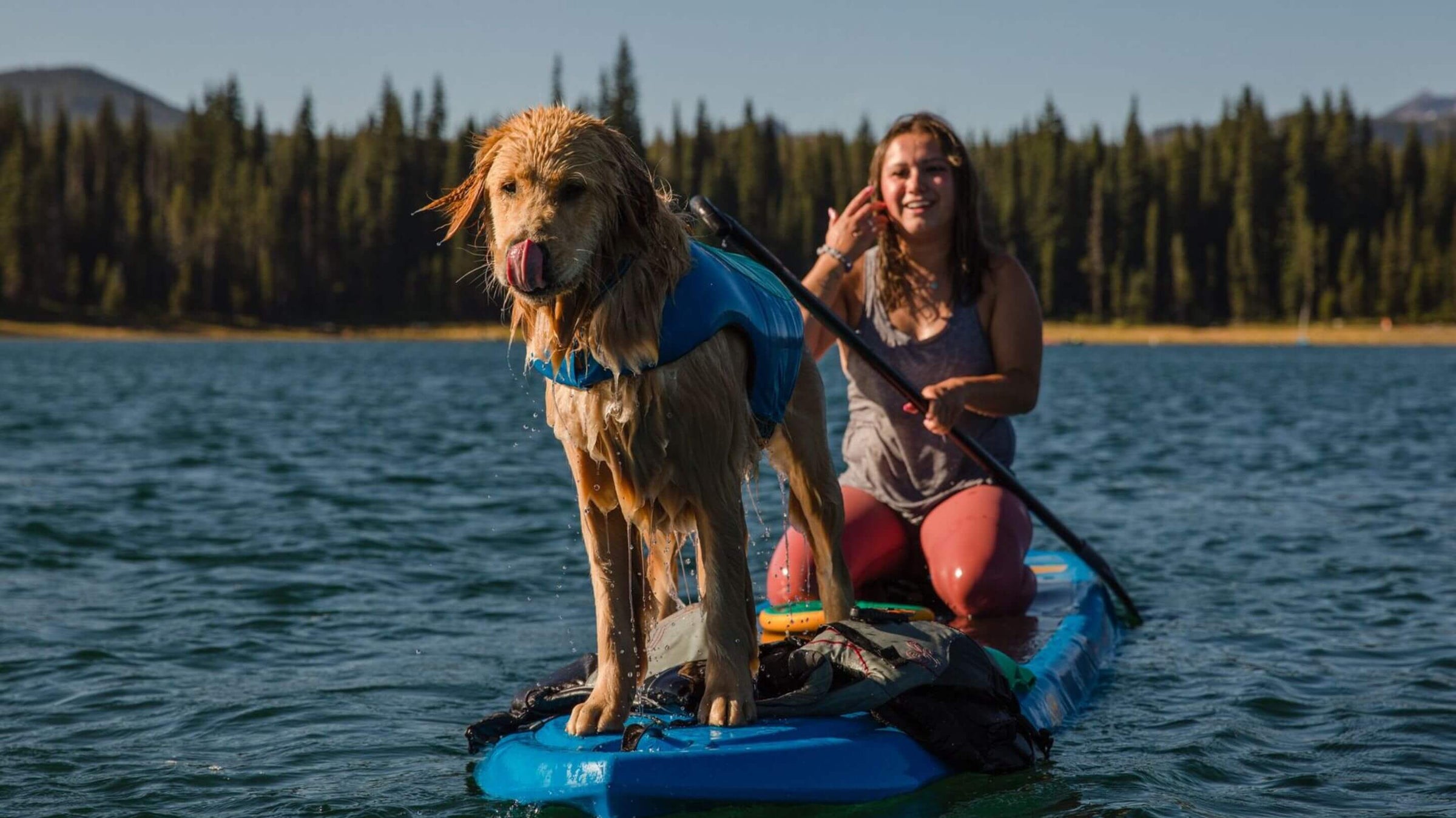 Dog Lifejackets & Coats