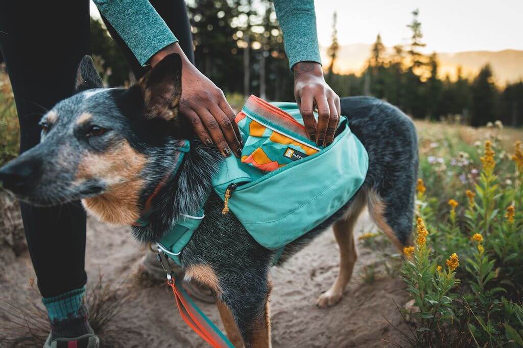Dog Backpacks