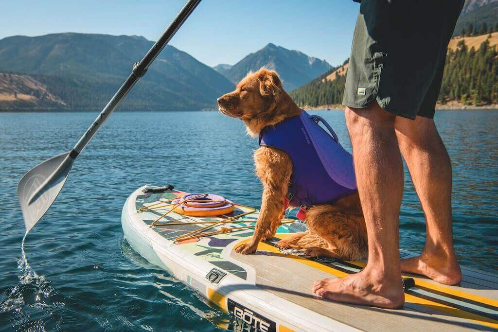 NEW COLOURS! Float Coat Dog Life Jacket by Ruffwear