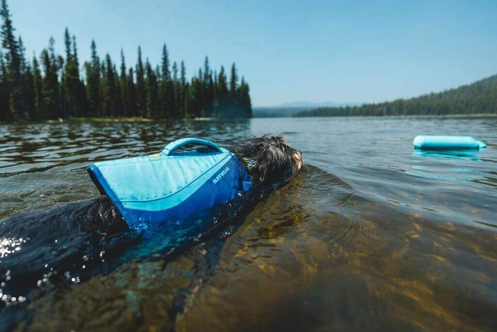 NEW COLOURS! Float Coat Dog Life Jacket by Ruffwear
