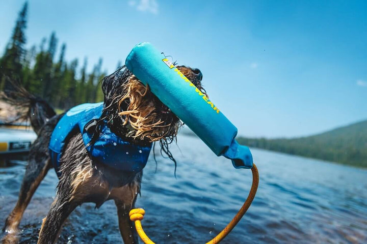 NEW COLOURS! Float Coat Dog Life Jacket by Ruffwear