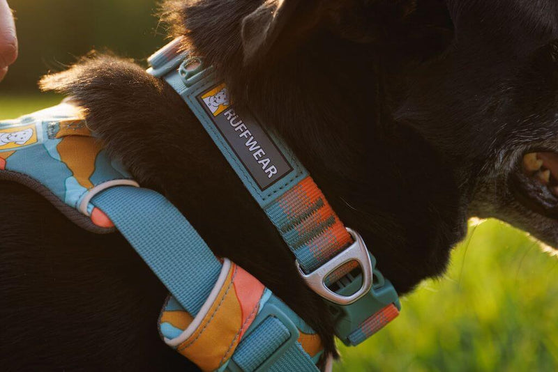 NEW COLOURS! Front Range Dog Collar - Soft, Durable