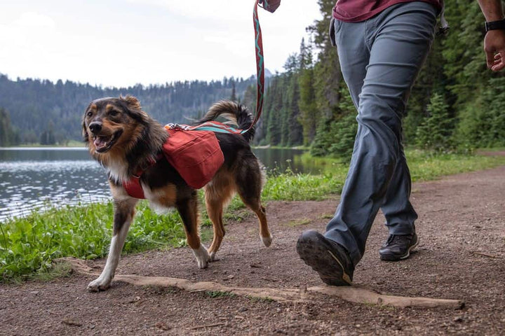 NEW COLOURS! Front Range Day Pack - Streamlined, Day Hikes