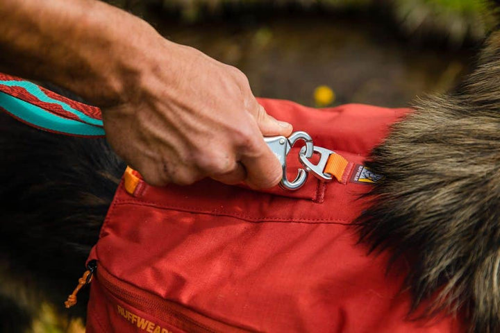 NEW COLOURS! Front Range Day Pack - Streamlined, Day Hikes