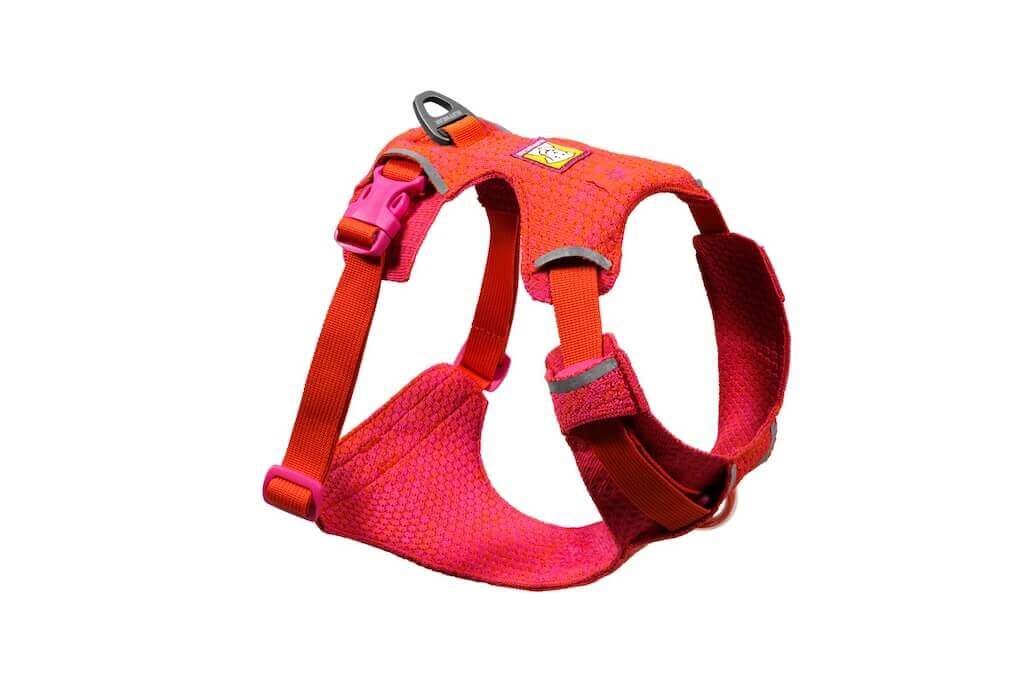NEW! Front Range Flex Harness -  Comfortable, Flexible, Engineered Knit Dog Harness