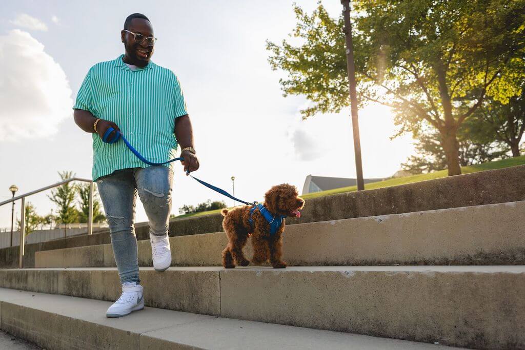 NEW COLOURS! Front Range Leash - Classic, Strong Dog Lead