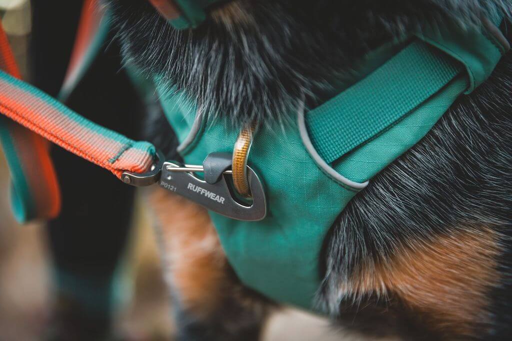 NEW COLOURS! Front Range Leash - Classic, Strong Dog Lead