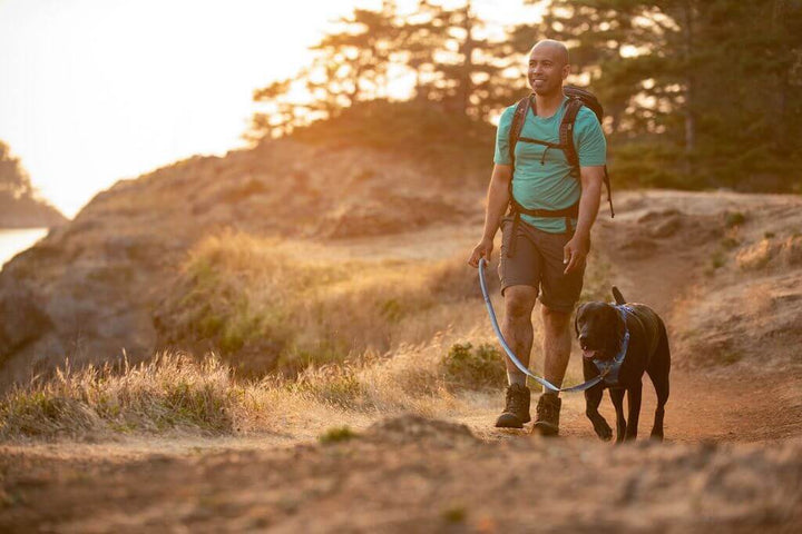 NEW COLOURS! Front Range Leash - Classic, Strong Dog Lead