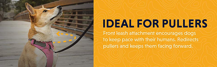 Ruffwear Front Range Harness tips on why it is a great training harness