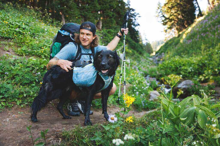 Palisades Pack 2026 Design - Dog Backpack for Multi-Day & Backcountry Trips