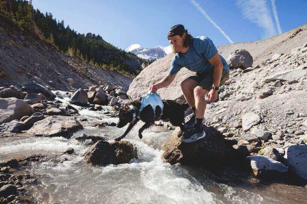Palisades Pack 2026 Design - Dog Backpack for Multi-Day & Backcountry Trips