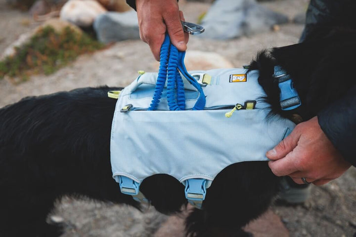 Palisades Pack 2026 Design - Dog Backpack for Multi-Day & Backcountry Trips