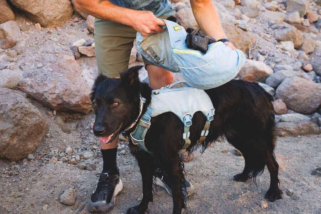 Palisades Pack 2026 Design - Dog Backpack for Multi-Day & Backcountry Trips
