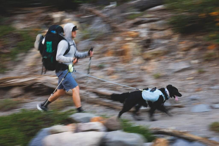 Palisades Pack 2026 Design - Dog Backpack for Multi-Day & Backcountry Trips