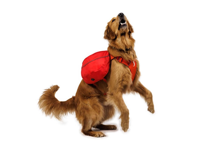 Palisades Pack 2026 Design - Dog Backpack for Multi-Day & Backcountry Trips