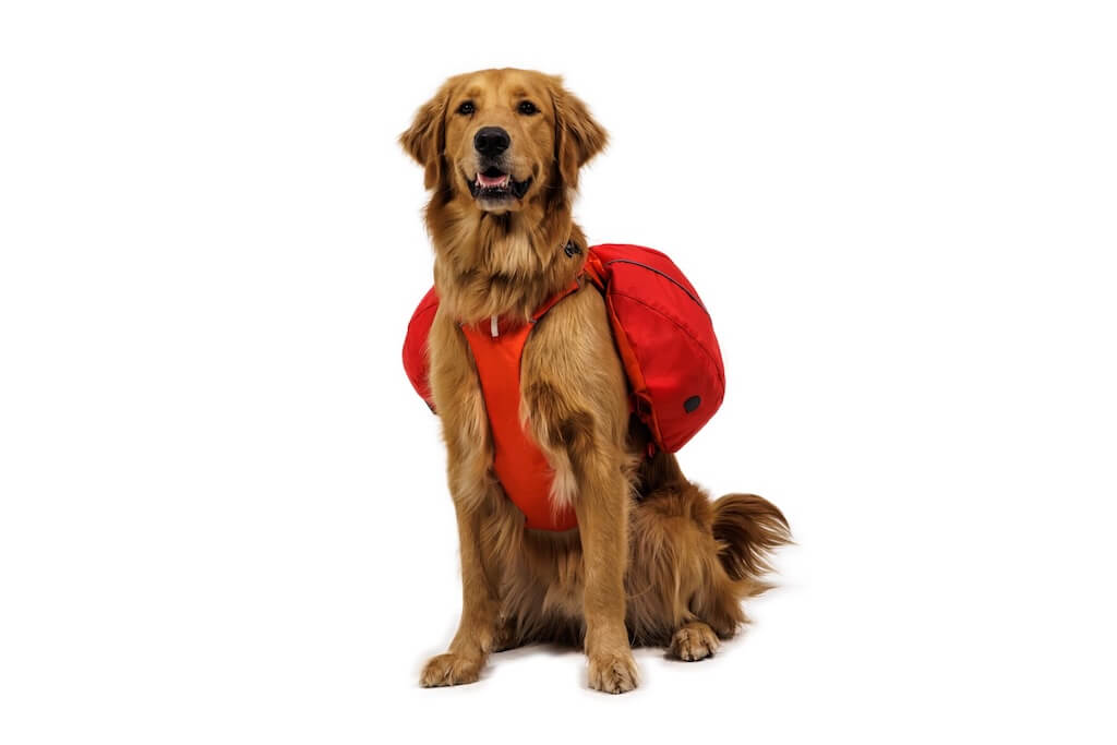 Palisades Pack 2026 Design - Dog Backpack for Multi-Day & Backcountry Trips
