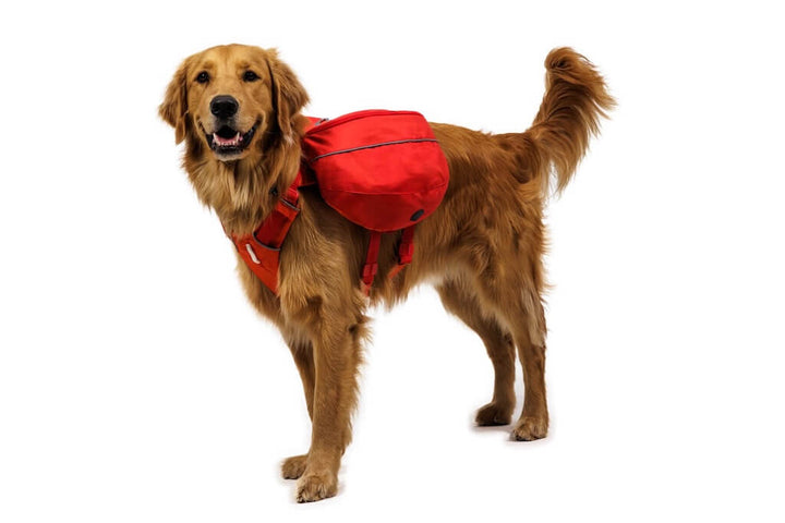 Palisades Pack 2026 Design - Dog Backpack for Multi-Day & Backcountry Trips