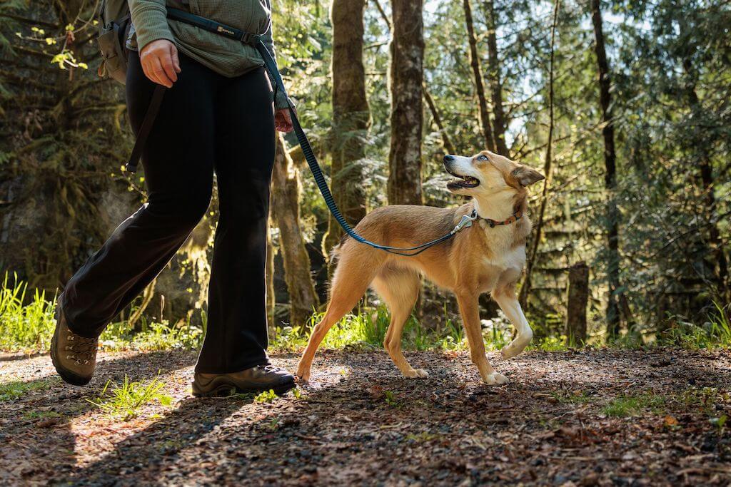 Ruffwear Roamer™ Bungee Dog Leash - Hand-Held or Waist-Worn