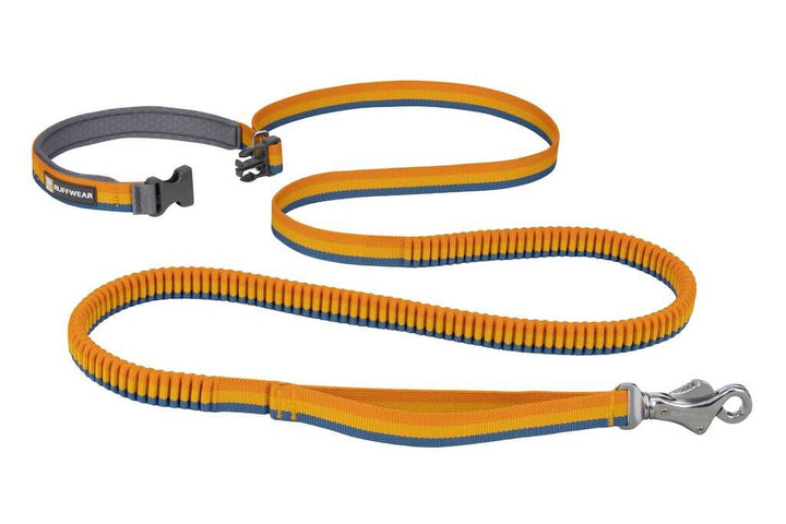 Ruffwear Roamer™ Bungee Dog Leash - Hand-Held or Waist-Worn