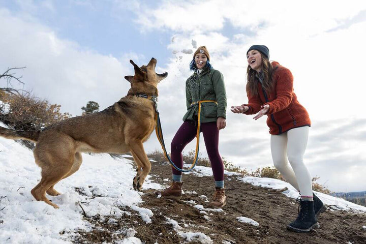 Ruffwear Roamer™ Bungee Dog Leash - Hand-Held or Waist-Worn