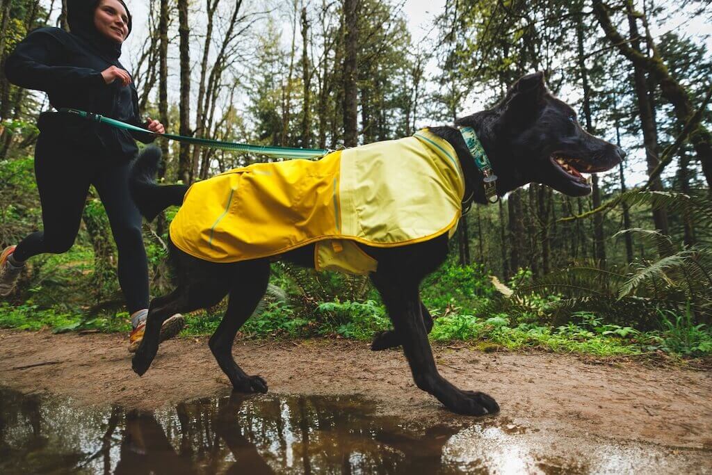 Sun Shower Dog Raincoat - Waterproof, Windproof
