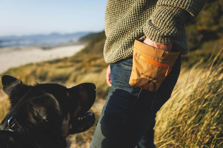 NEW Colours! Treat Trader Dog Treat Bag - Hands-Free Treat Bag