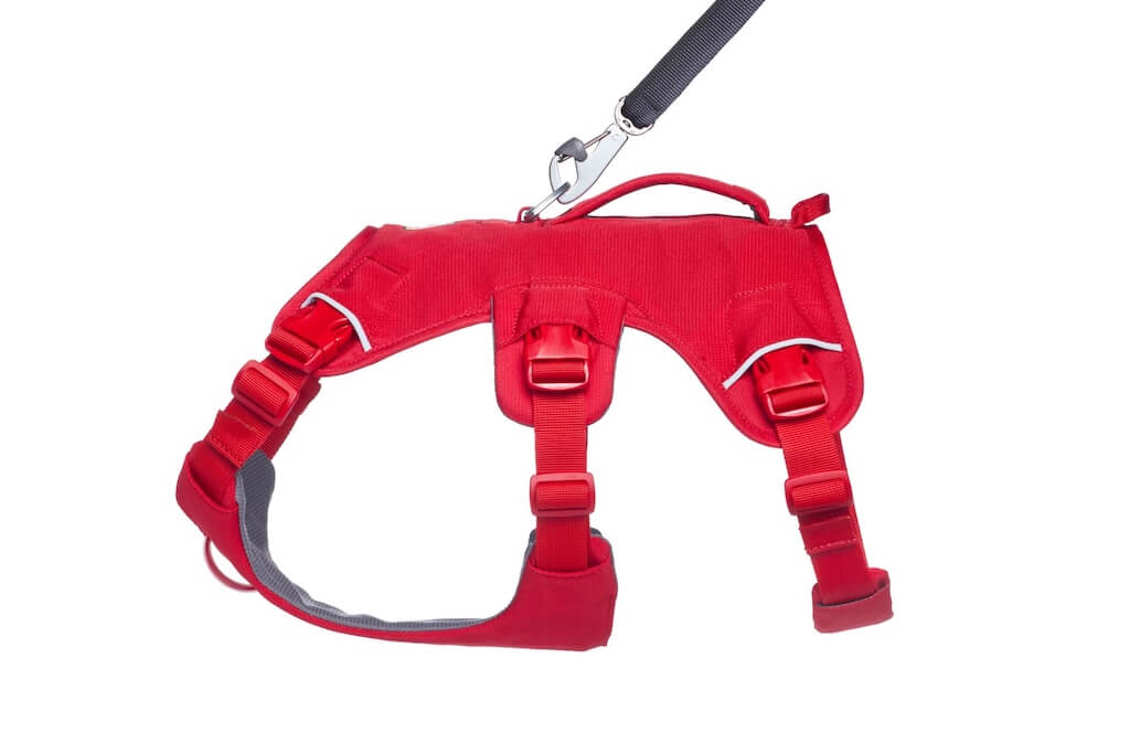 Ruffwear Web Master Dog Harness - Secure, Back Handle, Neck Buckle