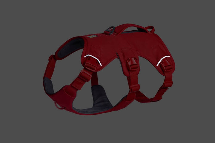 Ruffwear Web Master Dog Harness - Secure, Back Handle, Neck Buckle