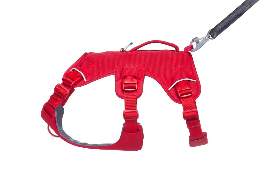 Ruffwear Web Master Dog Harness - Secure, Back Handle, Neck Buckle