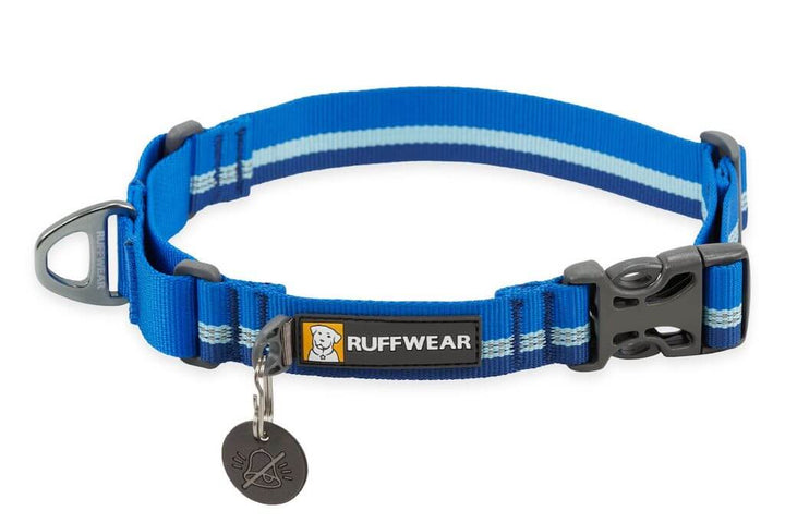 Ruffwear Web Reaction Dog Collar in Blue Pool