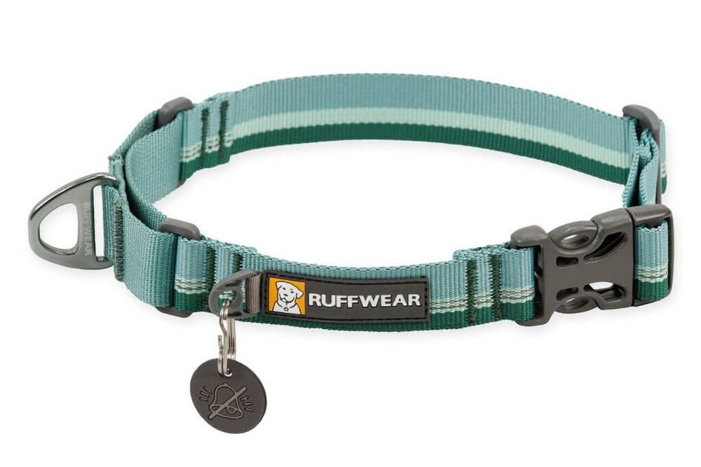 Ruffwear Web Reaction Dog Collar in River Rock Green