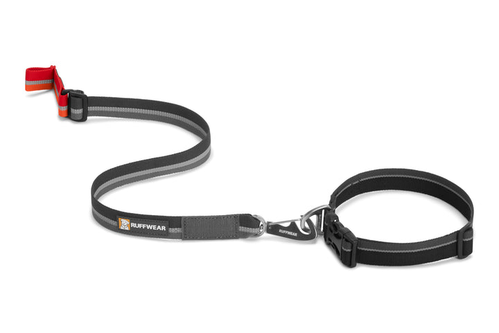 Quick Draw - Leash Can Be Worn Around Collar