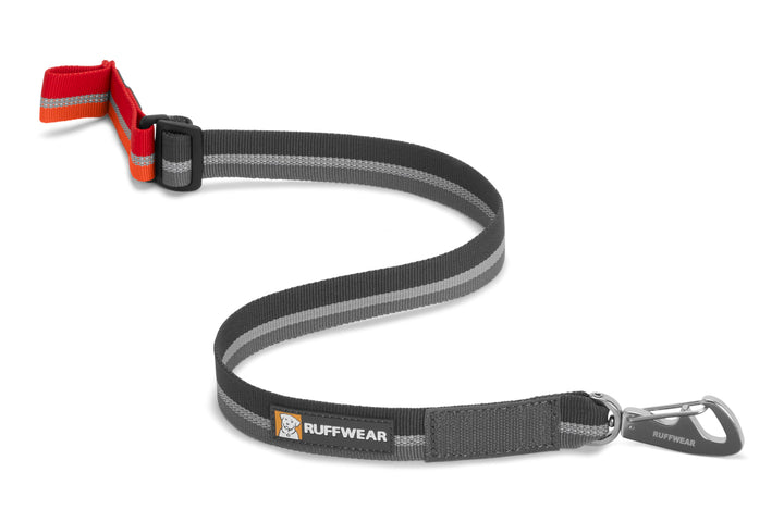 Quick Draw - Leash Can Be Worn Around Collar