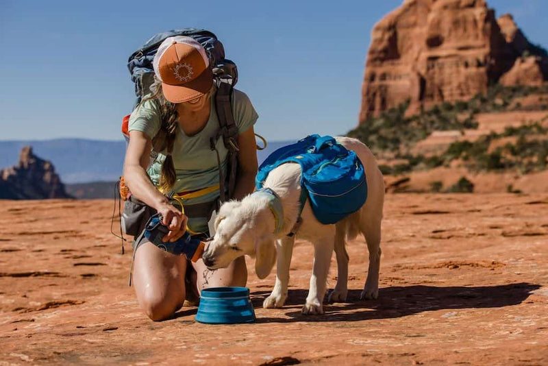 NEW Design! Ruffwear Approach Dog Backpack - Day Hiking & Overnight Adventures