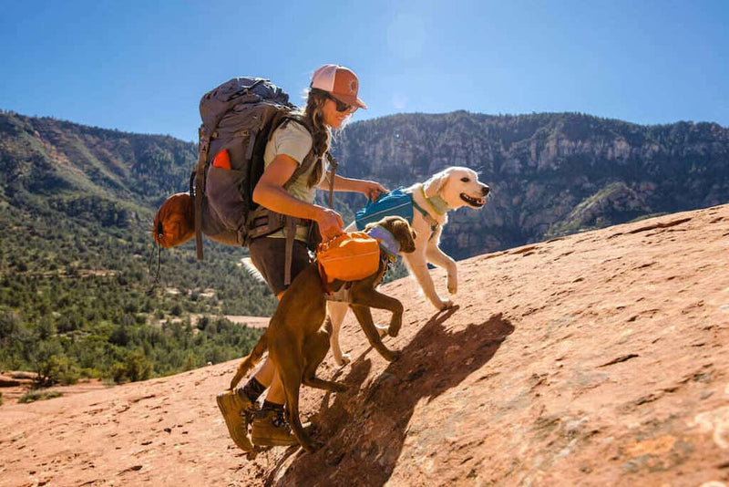 NEW Design! Ruffwear Approach Dog Backpack - Day Hiking & Overnight Adventures
