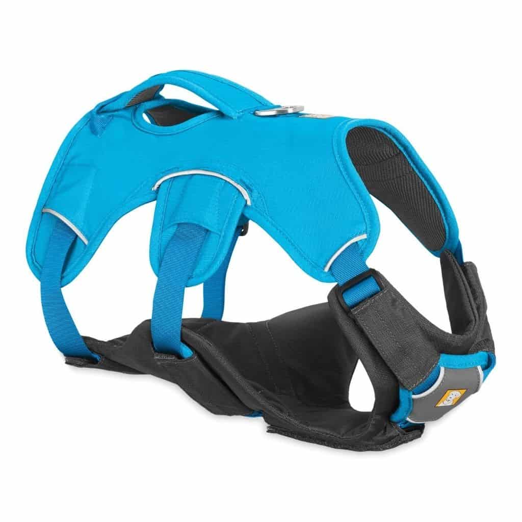 Ruffwear Brush Guard on a Web Master Harness