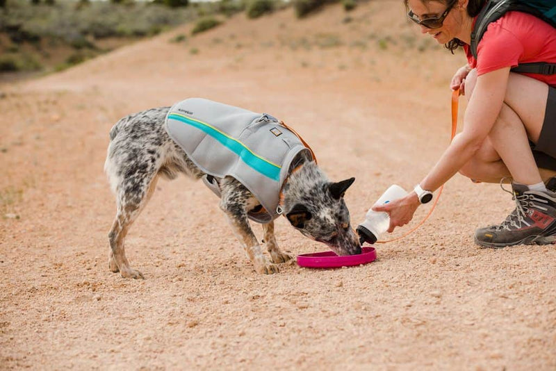 Ruffwear Camp Flyer Frisbee in Pink showing how it can be used as a water bowl