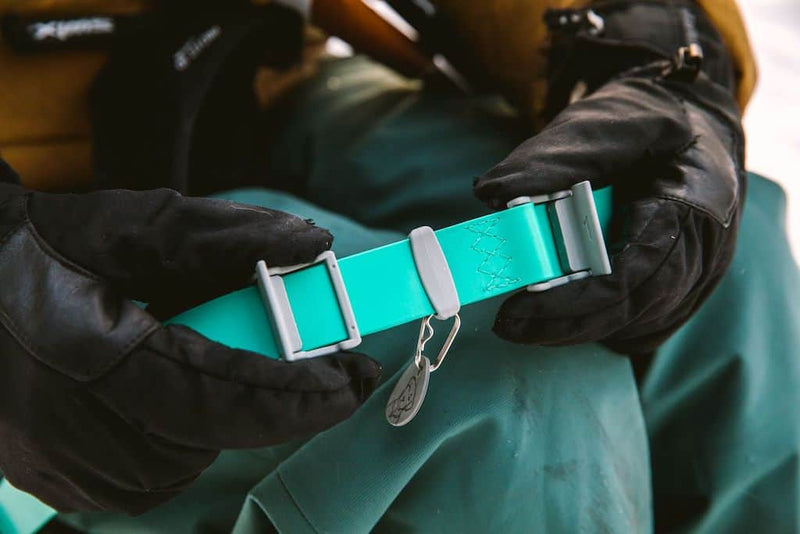 Ruffwear Confluence Dog Collar in Aurora Teal showing Cam Buckles for adjustment