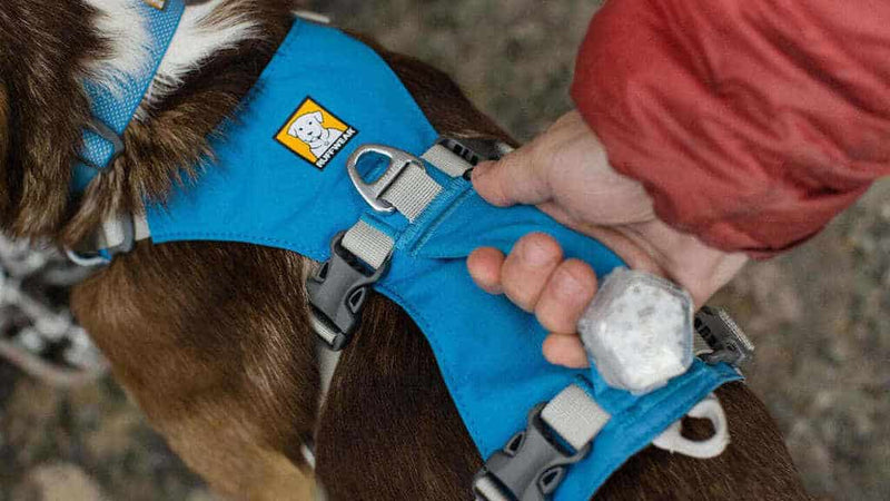 NEW DESIGN! Ruffwear Flagline Dog Harness - lightweight, back handle