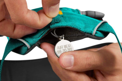 Ruffwear Front Range Harness in Aurora Teal showing the hidden pocket for ID tags