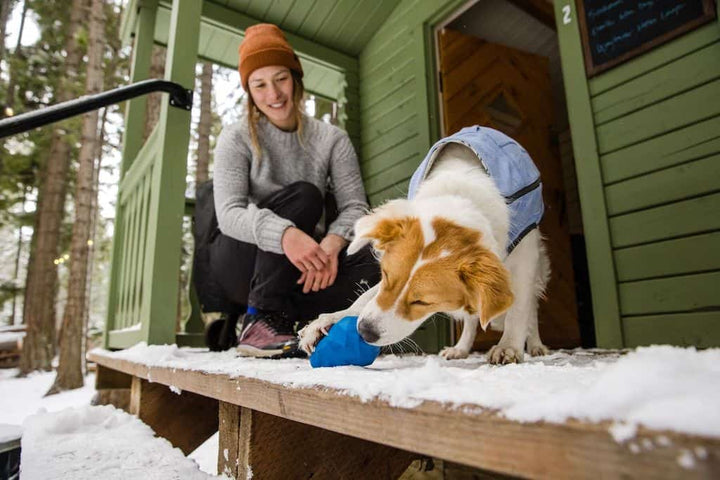 Gnawt-a-Cone - Throw or Treat Dispensing Dog Toy