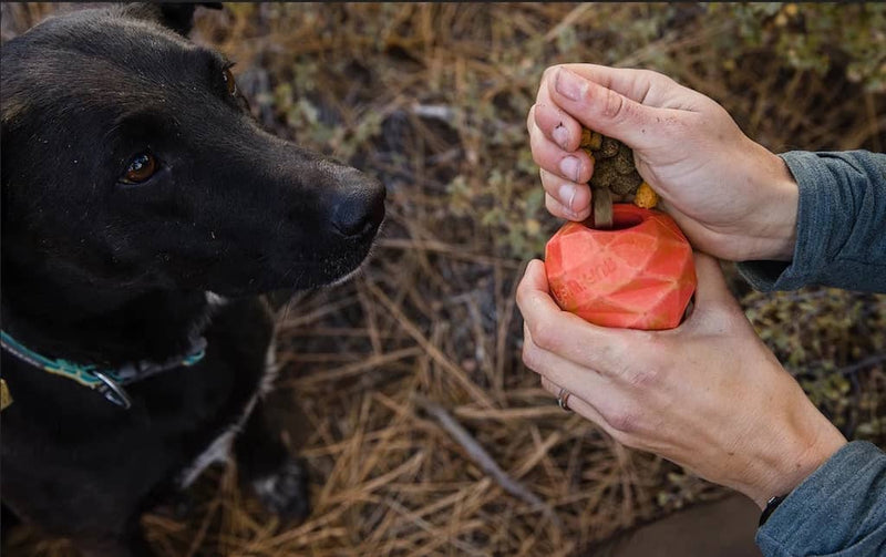 Gnawt-a-Cone - Throw or Treat Dispensing Dog Toy