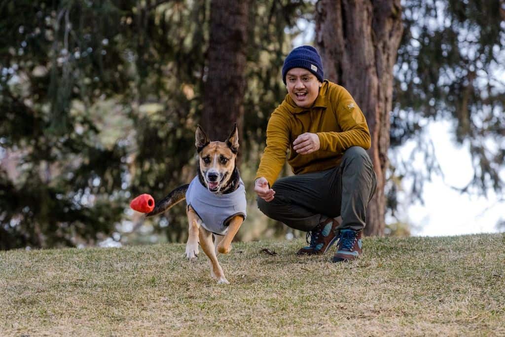 Gnawt-a-Cone - Throw or Treat Dispensing Dog Toy