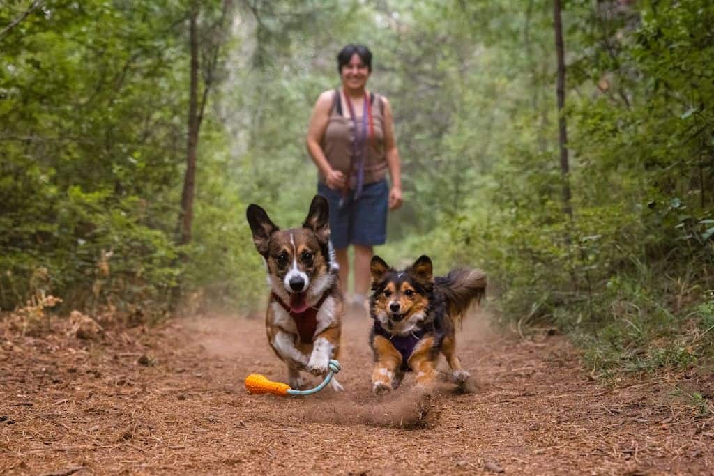 Ruffwear Gourdo Dog Toy Playing Fetch