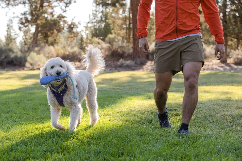 Ruffwear Gourdo Dog Toy Lifestyle Dog Carrying