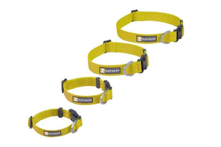 NEW!  Hi & Light Dog Collar - Lightweight, Minimal