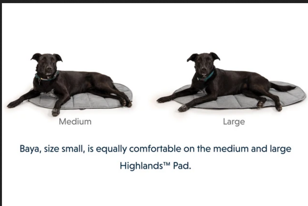 Lightweight dog sleeping bag outlet