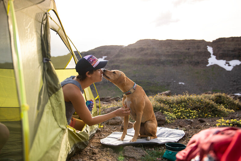 Highlands Dog Sleeping Bag - Lightweight, Packs Away Small