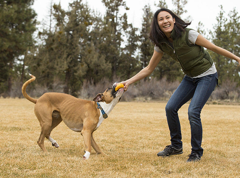 Huckama - Durable, 'Wacky' Bounce Dog Toy